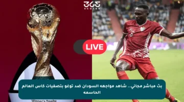 بث مباشر مجاني.. شاهد مواجهة السودان ضد توغو بتصفيات كأس العالم الحاسمة